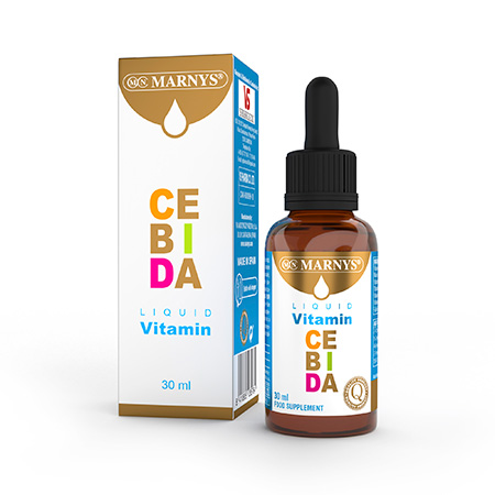 Cebida